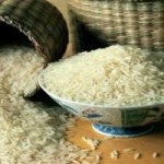 برنج آلوده ۴۴۹ نفر را در ۹ ماه کشته است