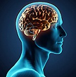 آيا می دانيد مغز معتادان چگونه کار می‌کند؟